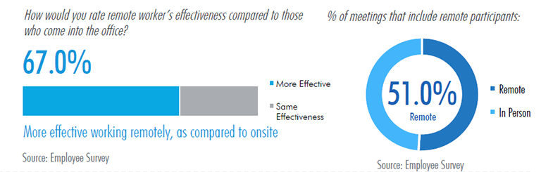 Remote Workers Effectiveness Graph