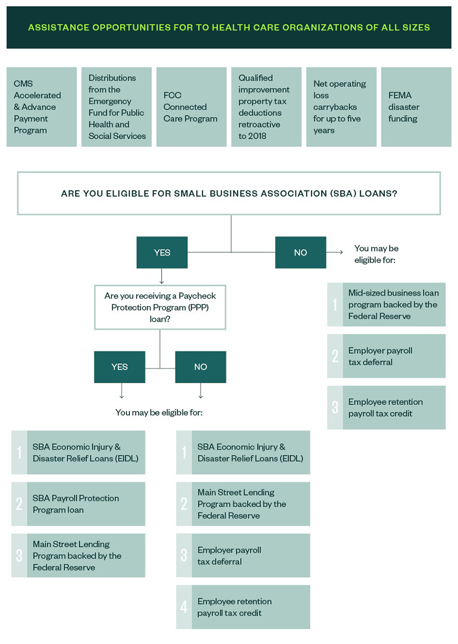 Chart of Assistance Opportunities for Health Care Organizations from SBA and Federal Governement